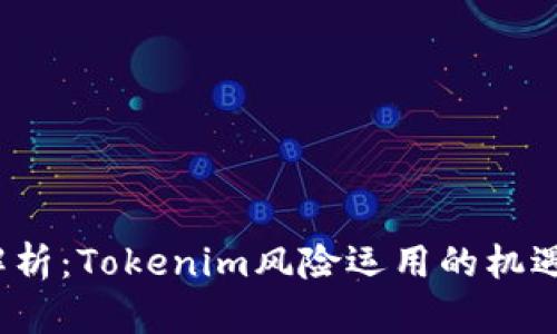  深度解析：Tokenim风险运用的机遇与挑战