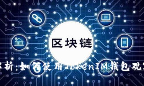 全面解析：如何使用TokenIM钱包观察地址