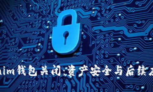 : Tokenim钱包关闭：资产安全与后续应对策略